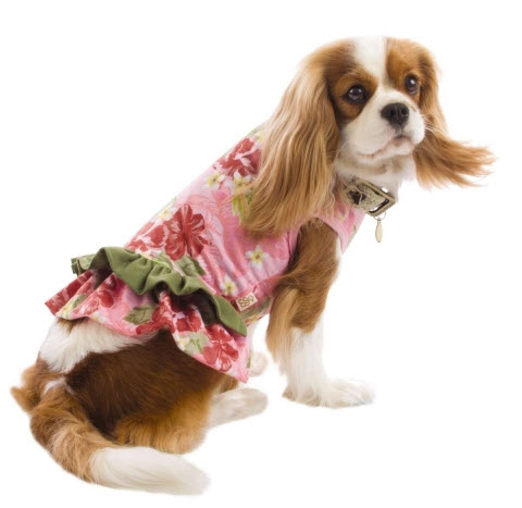Tommy Bahama Pets Pink Hibiscus Dress